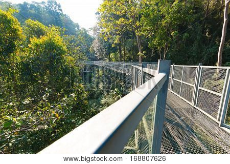 The Canopy Walkway, Queen Sirikit Botanic Garden