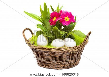Easter basket on white background with edds and flowers