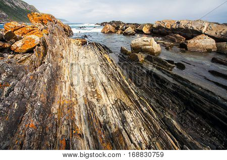 Beach at Tsitskamma National Park South Africa