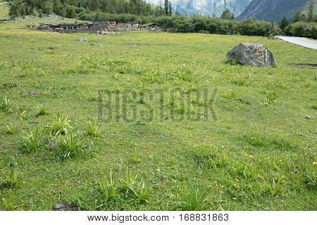 Four girl mountain build gully scenery in Sichuan, China