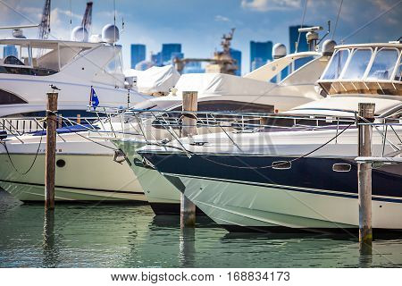 View of the marina in Miami Florida