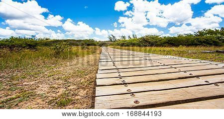 Wooden path on the San Lucia River South Africa