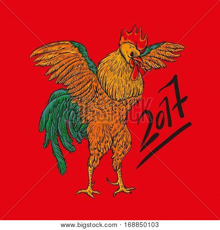 Vector illustration of rooster, symbol of 2017 on the Chinese calendar. Vector element for New Year design. Image of 2017 year of Red Rooster.