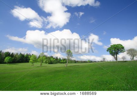 blauen Himmel und grüne Bäume