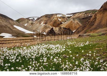 Colorful Landmanallaugar mountains in the Fajllabak Nature Reserve in the Highlands of Iceland lava field wich was formad in an eruption popular destination for tourist an with many hiking trails.