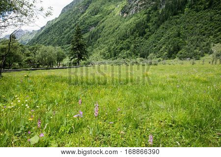 Four girl mountain build gully scenery in Sichuan, China