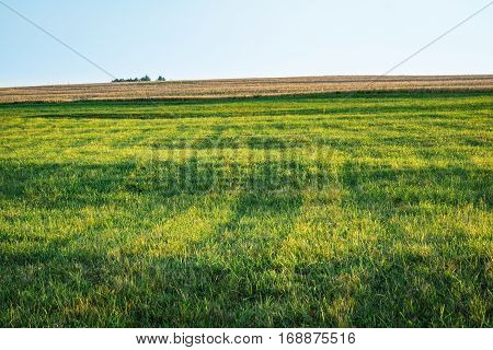Background photography of bright lush grass field under blue sunny sky. Outdoor countryside meadow nature. Rural pasture landscape with plain green grass.