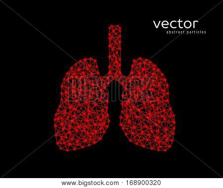 Abstract vector illustration of human lungs on black background.