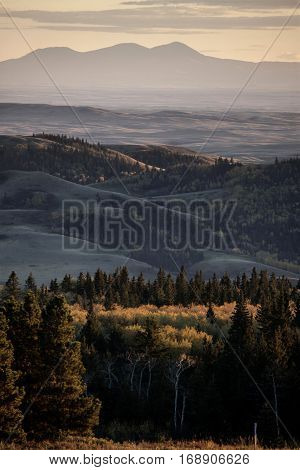 Autumn Colors Cypress Hills Canada