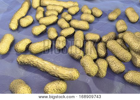 Bacterium Acinetobacter baumannii, multidrug resistant nosocomial bacterium. 3D illustration shows morphology of Acinetobacter such as short rods and sometimes long filamentous cells