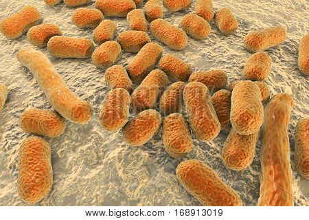 Bacterium Acinetobacter baumannii, multidrug resistant nosocomial bacterium. 3D illustration shows morphology of Acinetobacter such as short rods and sometimes long filamentous cells
