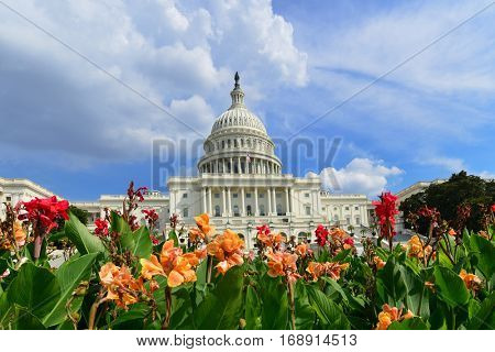 United States Capitol Building and flowers - Washington DC USA