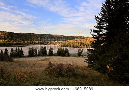 Autumn Colors Cypress Hills Canada