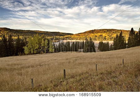 Autumn Colors Cypress Hills Canada