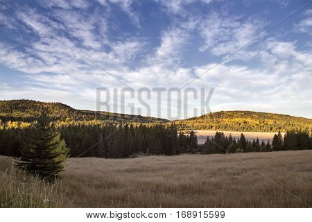 Autumn Colors Cypress Hills Canada