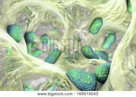 Biofilm of bacterium Acinetobacter baumannii, 3D illustration. Acinetobacter is antibiotic resistant rod-shaped bacterium which causes hospital-acquired infections