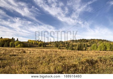 Autumn Colors Cypress Hills Canada