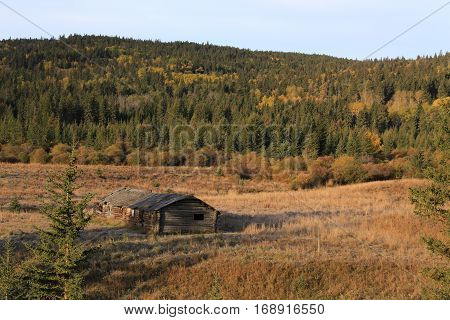 Autumn Colors Cypress Hills Canada