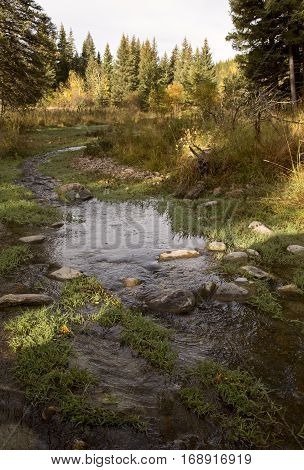 Autumn Colors Cypress Hills Canada
