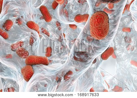 Biofilm of bacterium Acinetobacter baumannii, 3D illustration. Acinetobacter is antibiotic resistant rod-shaped bacterium which causes hospital-acquired infections