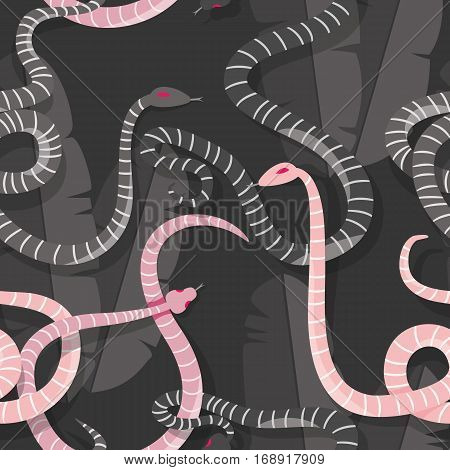 Seamless pattern with colorful intertwined striped rain forest snakes vector illustration