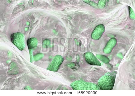 Biofilm of bacterium Acinetobacter baumannii, 3D illustration. Acinetobacter is antibiotic resistant rod-shaped bacterium which causes hospital-acquired infections