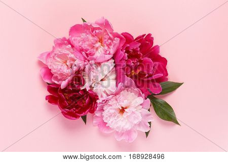 nice peonies