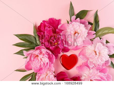 nice peonies