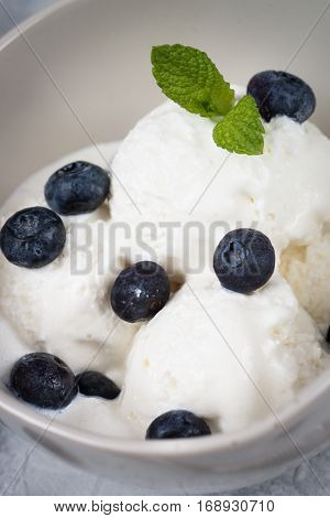 Vanilla Ice Cream with blueberries in bowl Summer refreshing dessert. Closeup