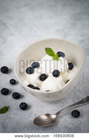 Vanilla Ice Cream with blueberries in bowl Summer refreshing dessert. Closeup