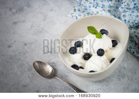 Vanilla Ice Cream with blueberries in bowl Summer  refreshing dessert. Top view