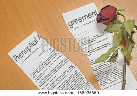 the form of the marriage contract with the stamp cancelled is on the table.