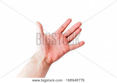 Male hand on a white background, palm up