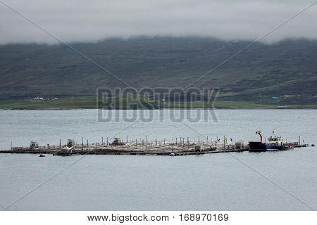 North Coast Scotland - June 6 2012: An industrial size fish pen on Loch Eriboll with green foggy hills in the background. People machines and a boat at the large framed and netted platform in bluish-gray water.