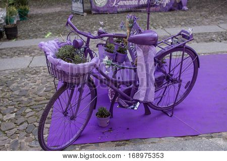 Purple bike with lavender in the town square.