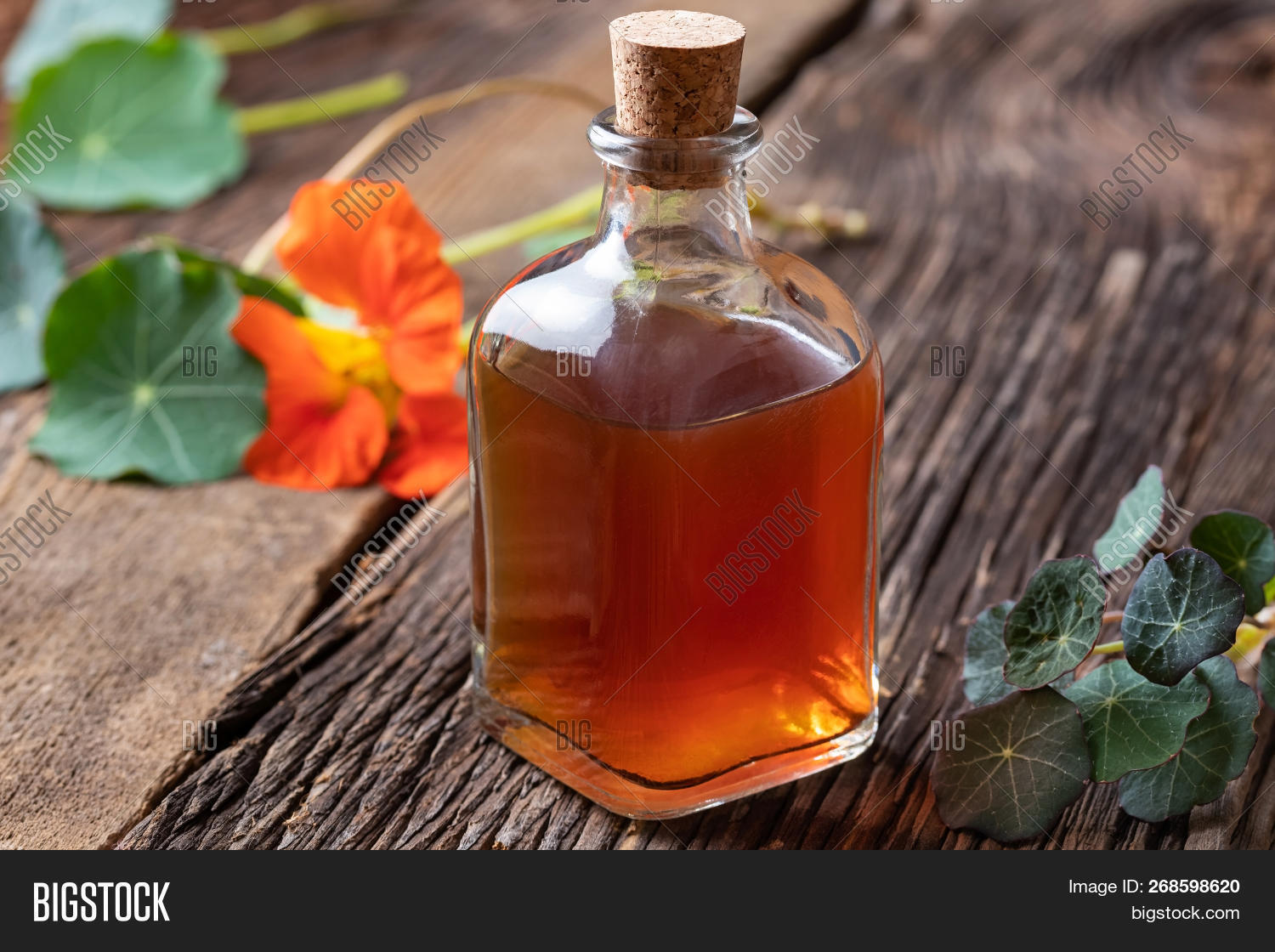 Лекарственные настои. Сироп из бузины. Лекарственные растения прополис. Настой 7 букв. Боярышник бутылка.