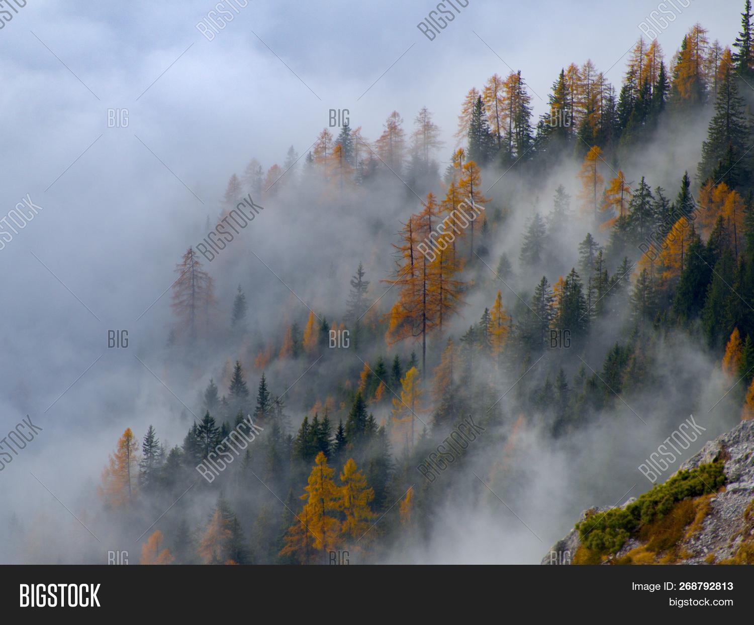 Beautiful Autumn Image & Photo (Free Trial) | Bigstock
