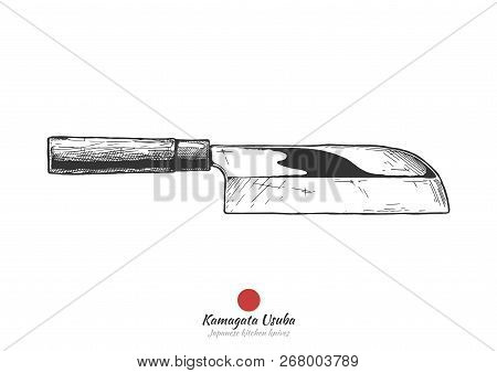 Kamagata Usuba, Japanese Kitchen Knife. Vector Hand Drawn Illustration In Vintage Engraved Style. Is
