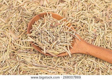 Dried Rosemary Leaves In Woooden Spoon On Rosemary Leaves Background - Rosmarinus Officinalis