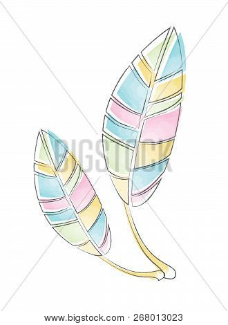 Colourful Watercolour Bird Native Feathers Hand Illustrated