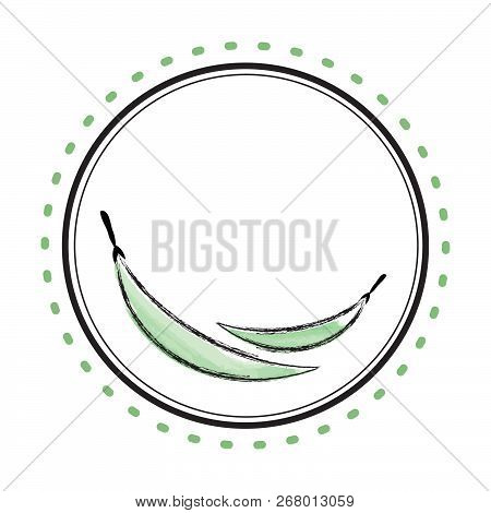 Vegetable Organic Green Beans Circle Frame Isolated