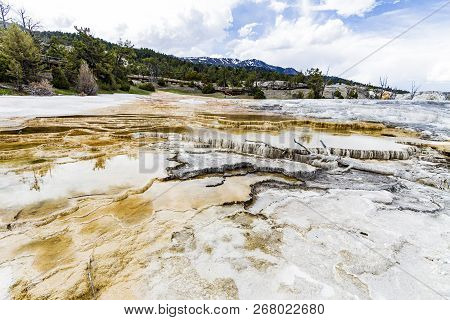 Mamoth Hot Springs In Yellowstone National Park