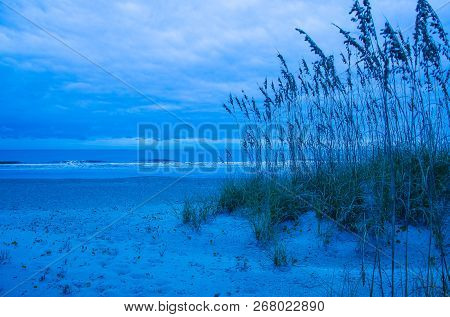 Sand dunes and sea oats on Amelia Island, Florida, in the cloudy blue morning light.