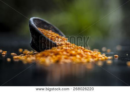 Close Up Of Raw Masur Dal Or Masoor Lentils Or Pink Lentils In A Black Colored Clay Bowl On Wooden S