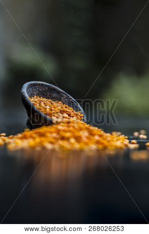 Close Up Of Raw Masur Dal Or Masoor Lentils Or Pink Lentils In A Black Colored Clay Bowl On Wooden S