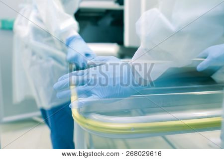 Moving The Body To The Morgue Cold Store. Blurred Background.