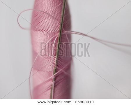 Nål i pink spolen, makro