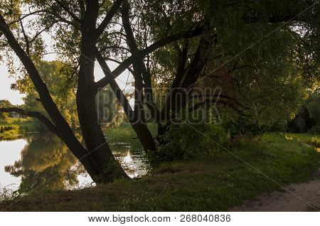 Path Through Green Forest And Little River Near. Places For Walk On The Fresh Air In Summer