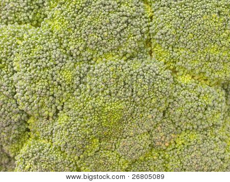 trama di broccoli verdi freschi