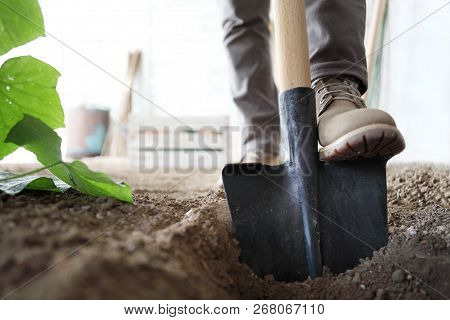 Work In Vegetable Garden, Foot Spade The Soil, Close Up